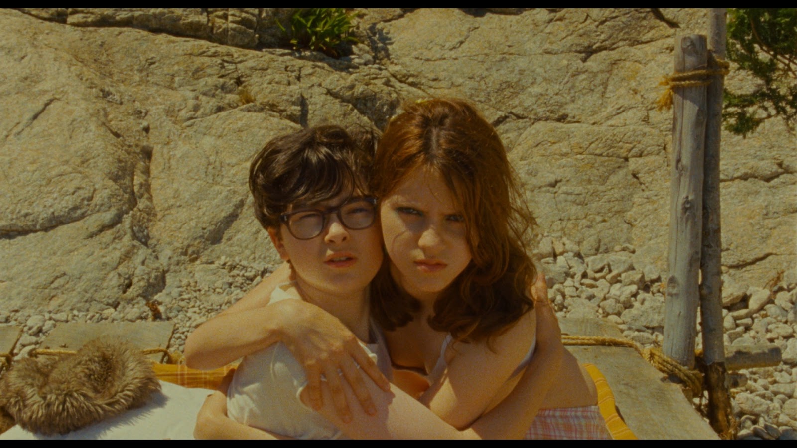 large_moonrise_kingdom_blu-ray_09